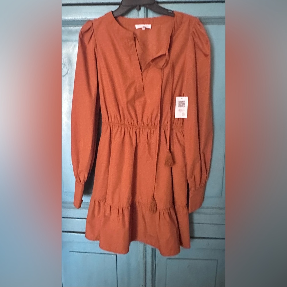 Ces Femme Rust Long Sleeve Dress